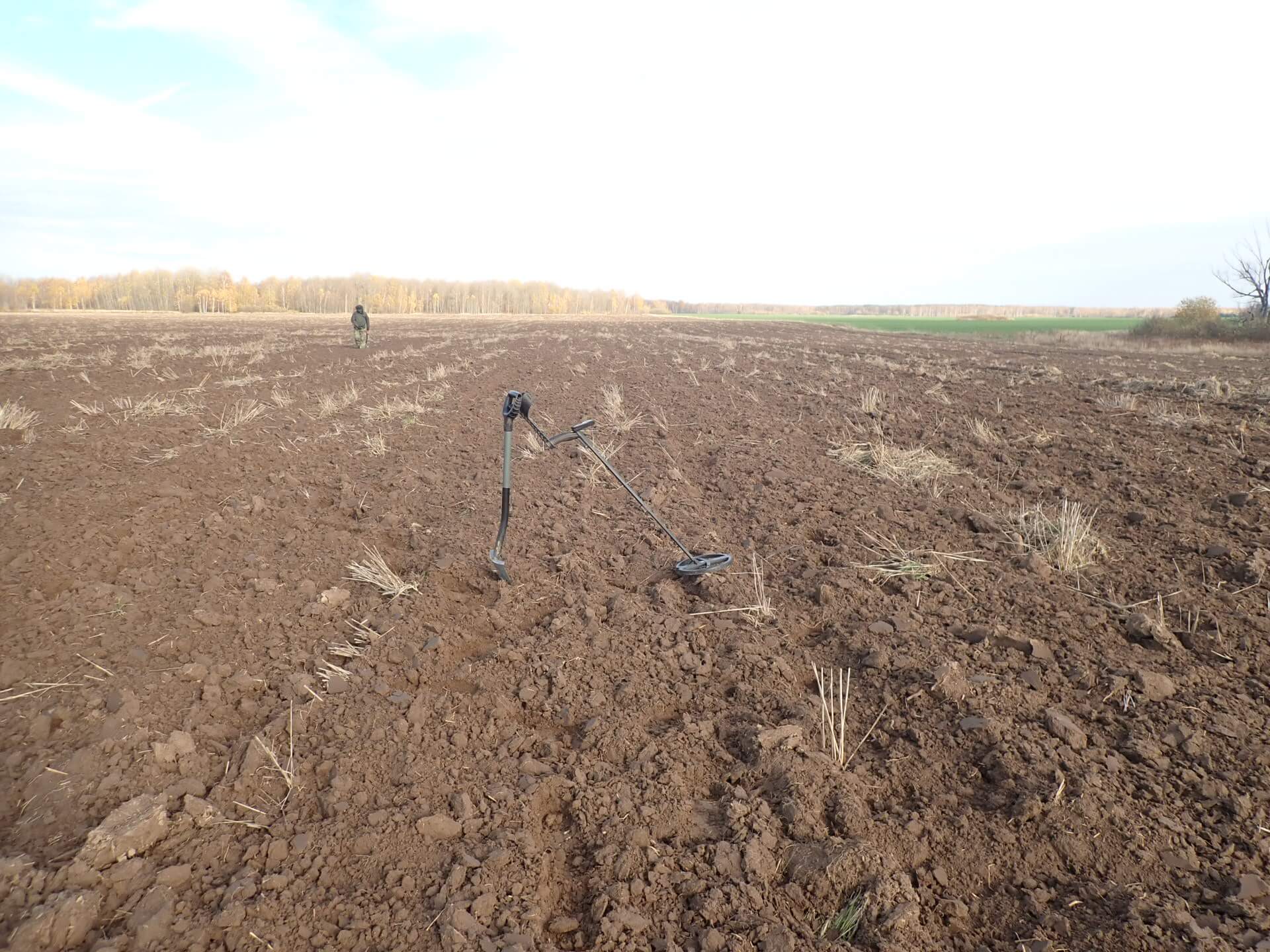 The most unusual, atypical and interesting encounters with diggers in a plowed field