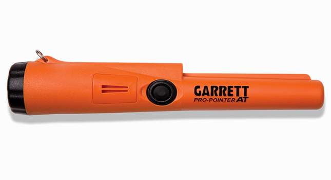 garrett-pro-pointer-at-2