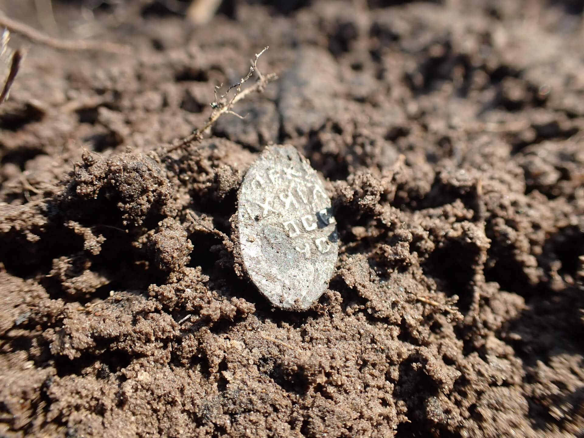 The most unusual, atypical and interesting meetings with diggers in a plowed field