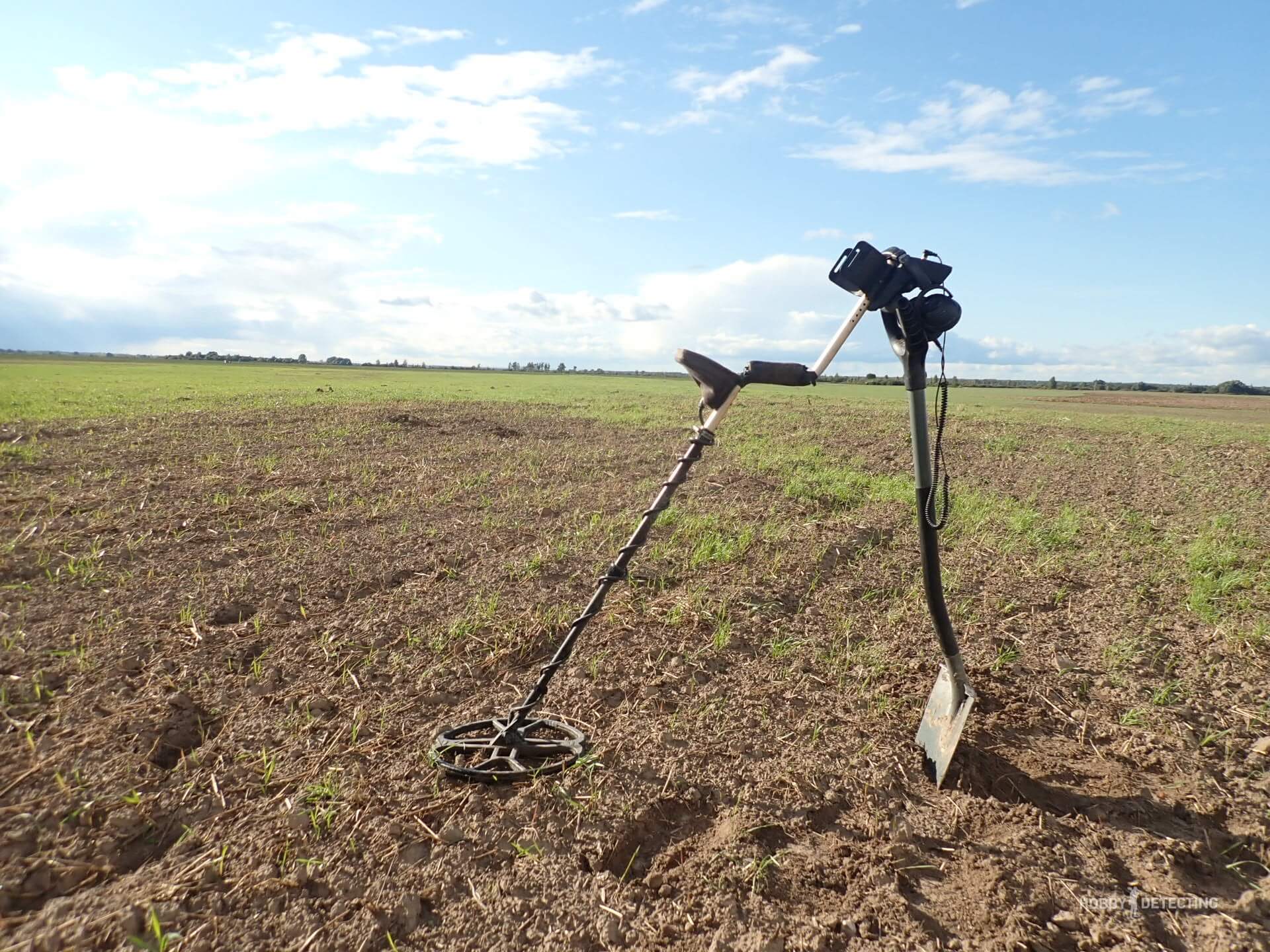 The most unusual, atypical and interesting encounters with diggers in a plowed field