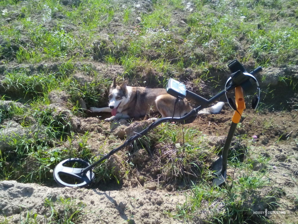 Find a partner for digging? (Competitive story of a digger!)