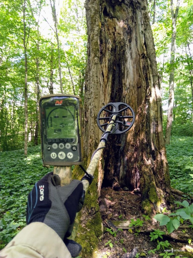 Minelab Equinox 800 - our review of a professional metal detector!