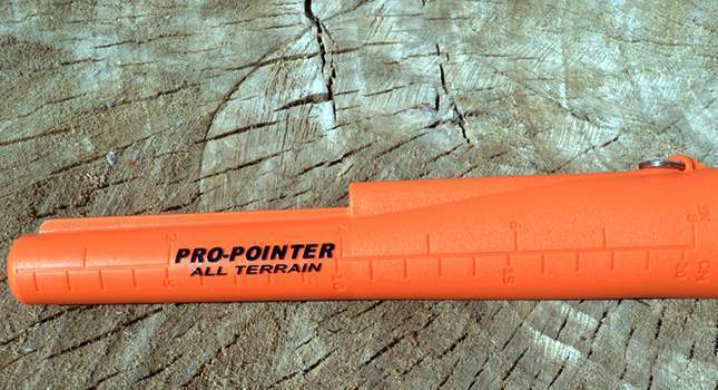 garrett-pro-pointer-at-05