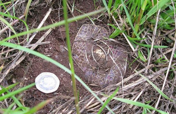 Anglo-Saxon treasure