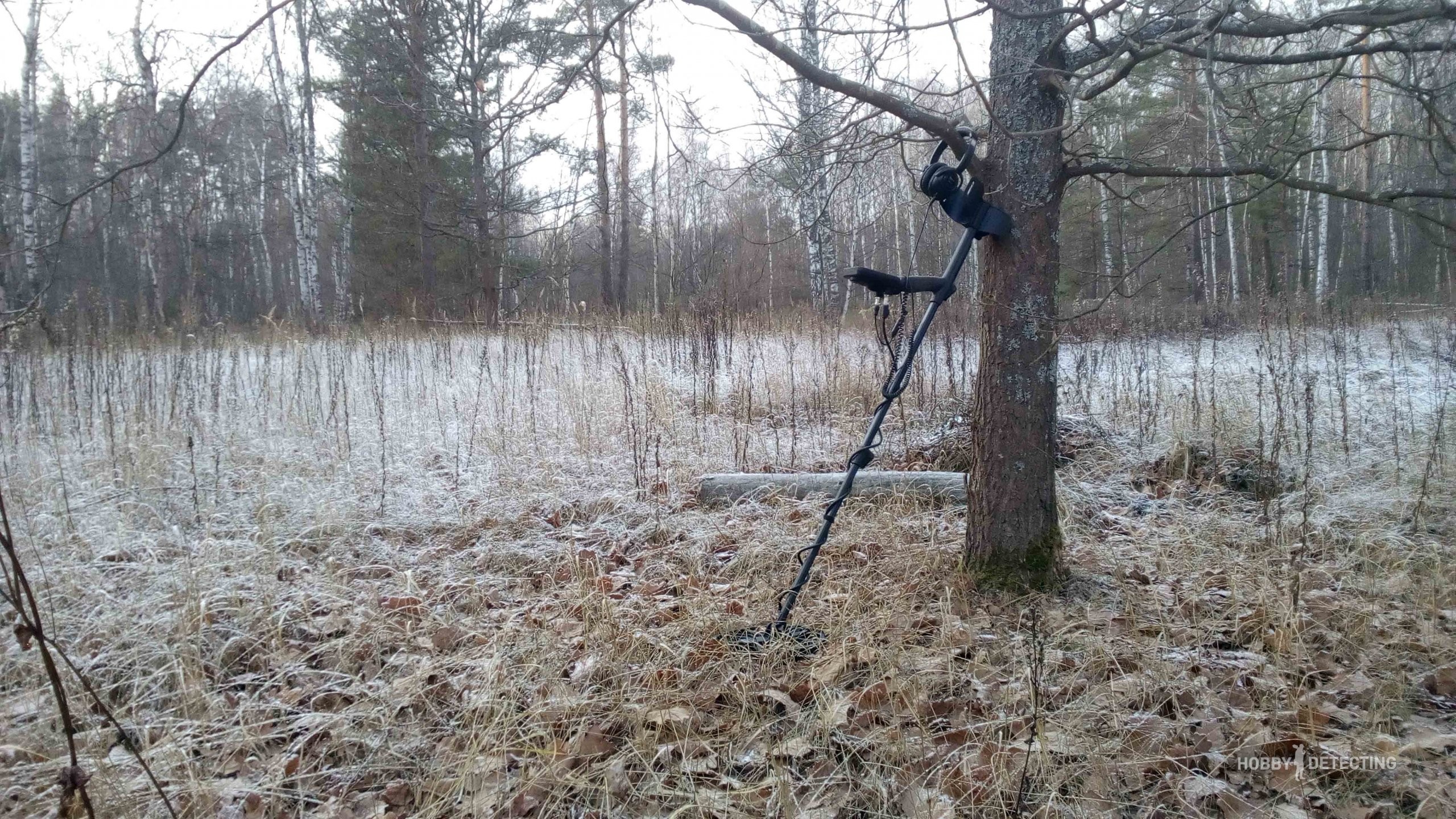 moya-pervaya-lesnaya-poselushka