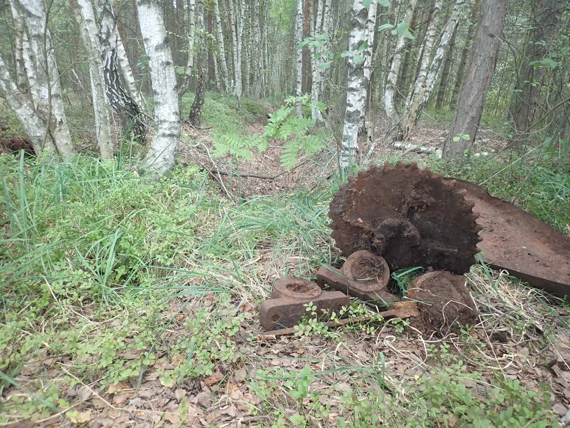 kop-metalloloma-na-torfyanikah