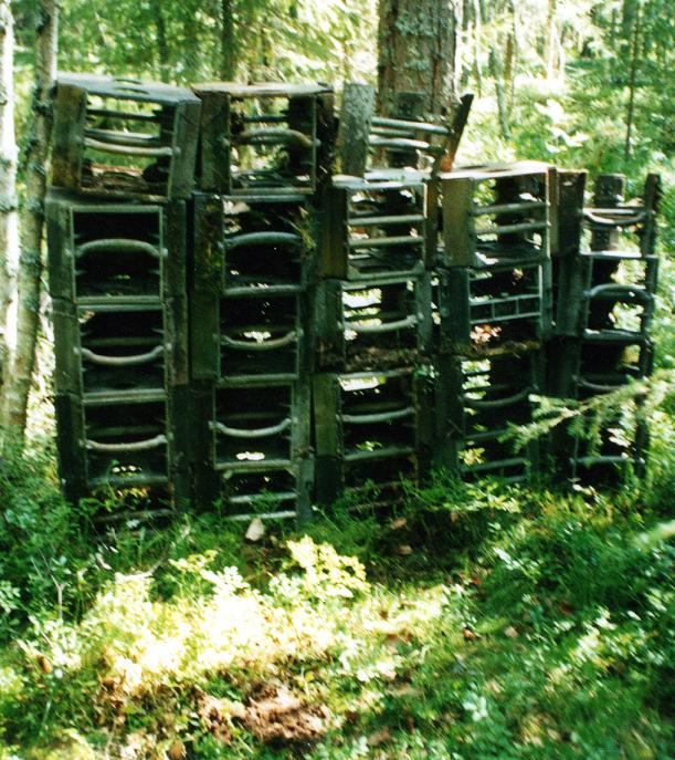 Cop in North Karelia