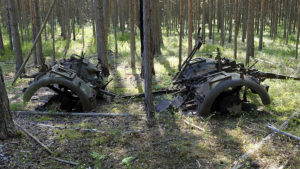 War cop Bolshoi Tyuters Island photo finds of WWII equipment Wehrmacht SS war