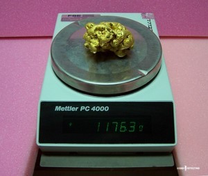 A man found a gold nugget worth more than $50,000! (photo+)