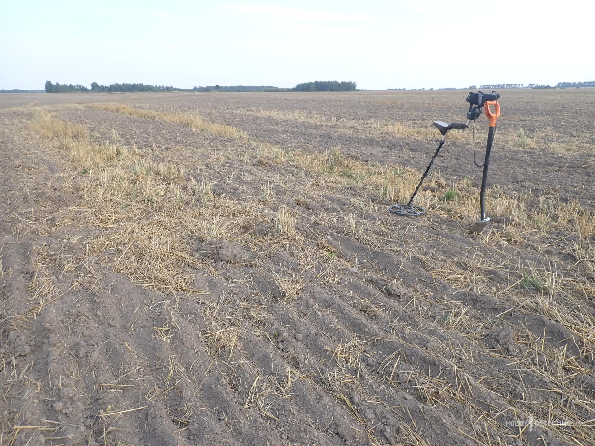 How does plowing a field affect the appearance of “new” coins?